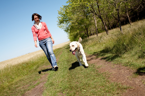 walking the dog