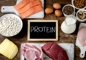 protein weight loss program for women over 40